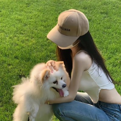 九辫妖狐