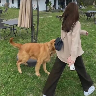 暗黑骰子