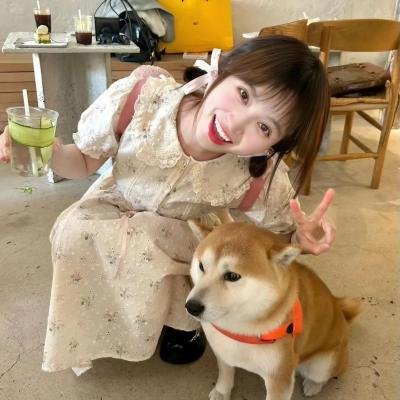 宝贝特攻